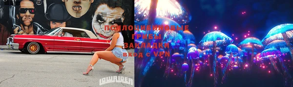 ГАЛЛЮЦИНОГЕННЫЕ ГРИБЫ Бронницы