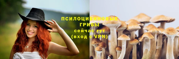 mdpv Бородино