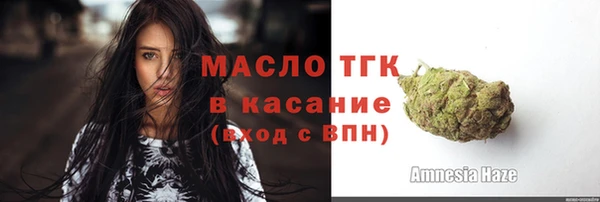 mdpv Бородино