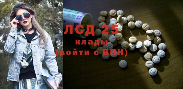 СК Сосновый Бор