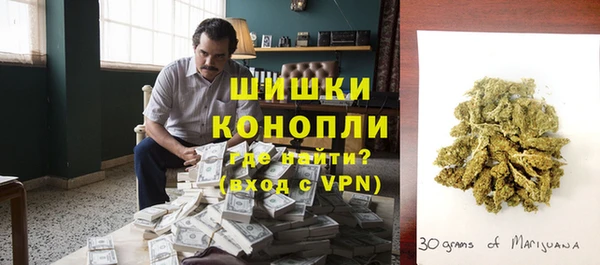 гашик Сосновка