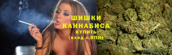 mdpv Бородино