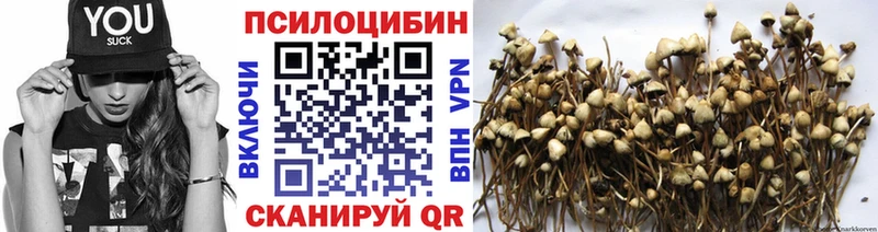 Галлюциногенные грибы Psilocybine cubensis  закладка  Кирс 